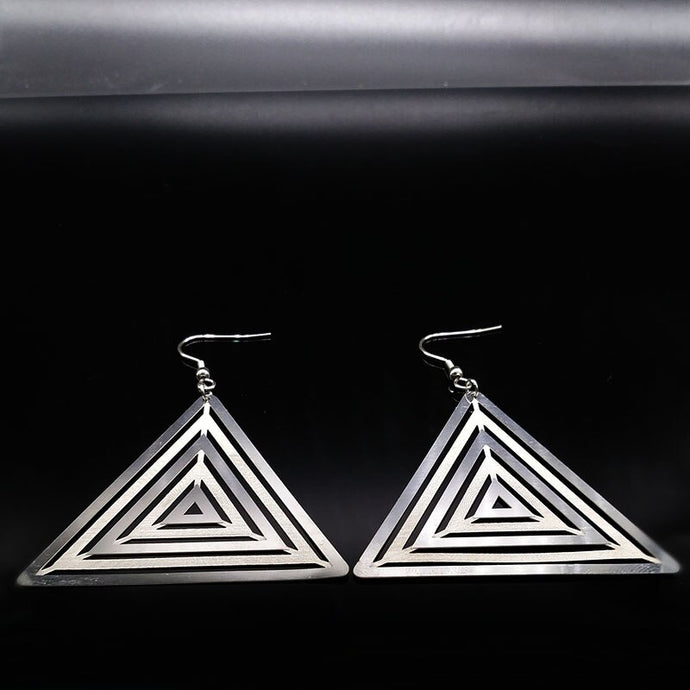 Geometric  Stainless Steel Drop Earrings